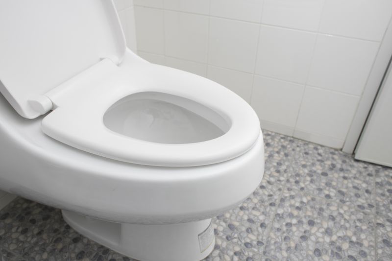 Products For Toilet Installations in use