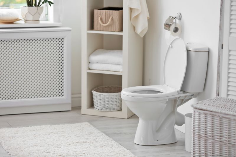 Toilet Installation